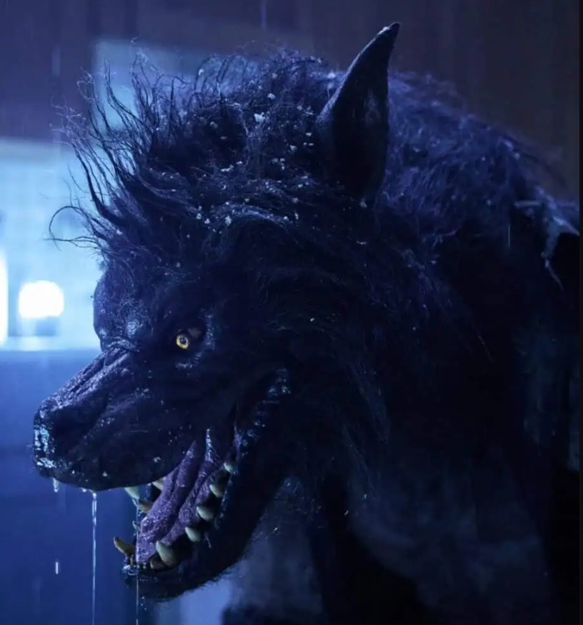 Werewolves, un nouveau film avec des loups-garous, est en chantier.
